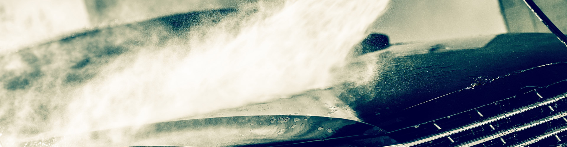 Vehicle Detailing Service