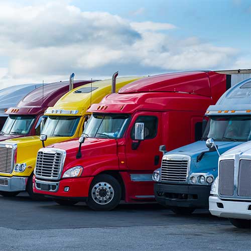 Commercial Fleet Detailing